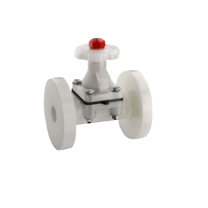 P.p diaphragm (1)