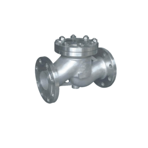 Cast iron steel piston lift type check valve