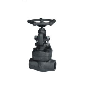 Forged gate valve