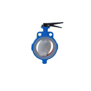 Lined butterfly valve